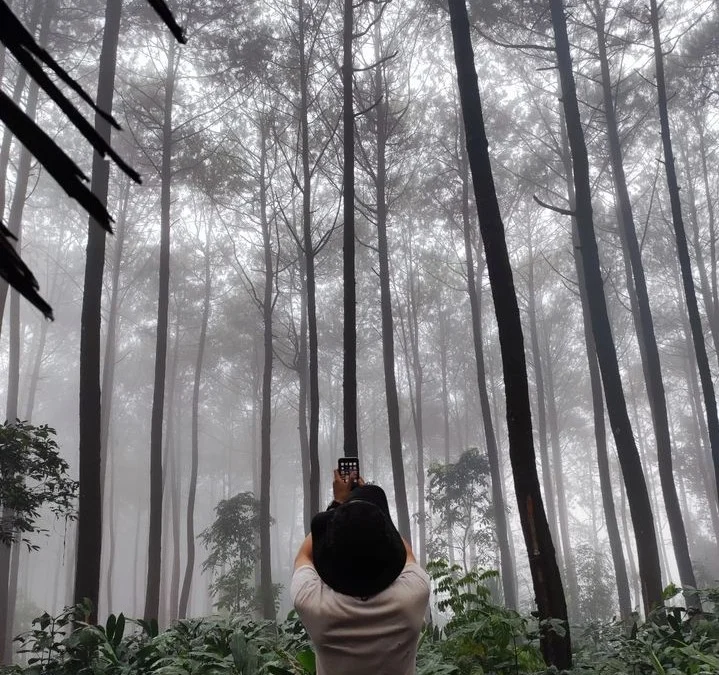 Indah dan Banyak yamg Belum Tau! Inilah Kebun Kopi dan Coklat di Sumedang!