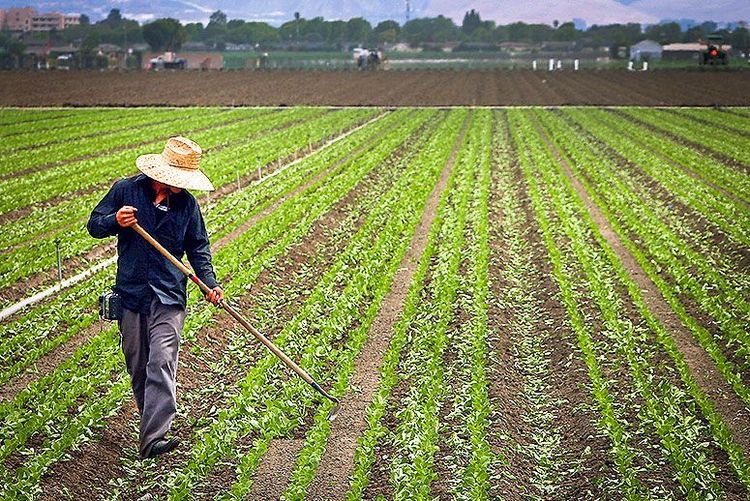 Mendalami Alam dan Pertanian Melalui Wisata Agroedukasi di Sumedang