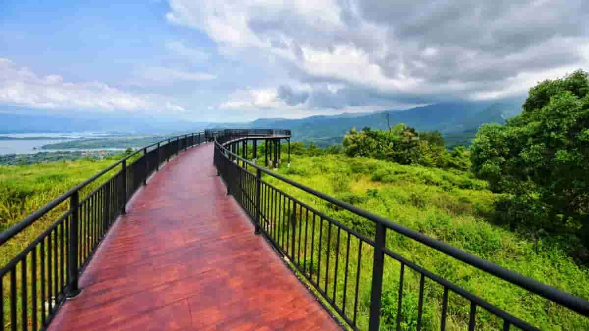 Wisata Tahura Forest Walk Sumedang, Pesona Hutan Pinus yang Menyejukkan di Jatigede