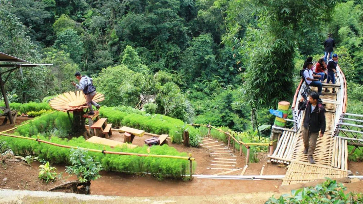 Kebun Teh Peninggalan Zaman Belanda, Ini Wisata Agrowisata di Sumedang yang Jarang Diketahui Orang