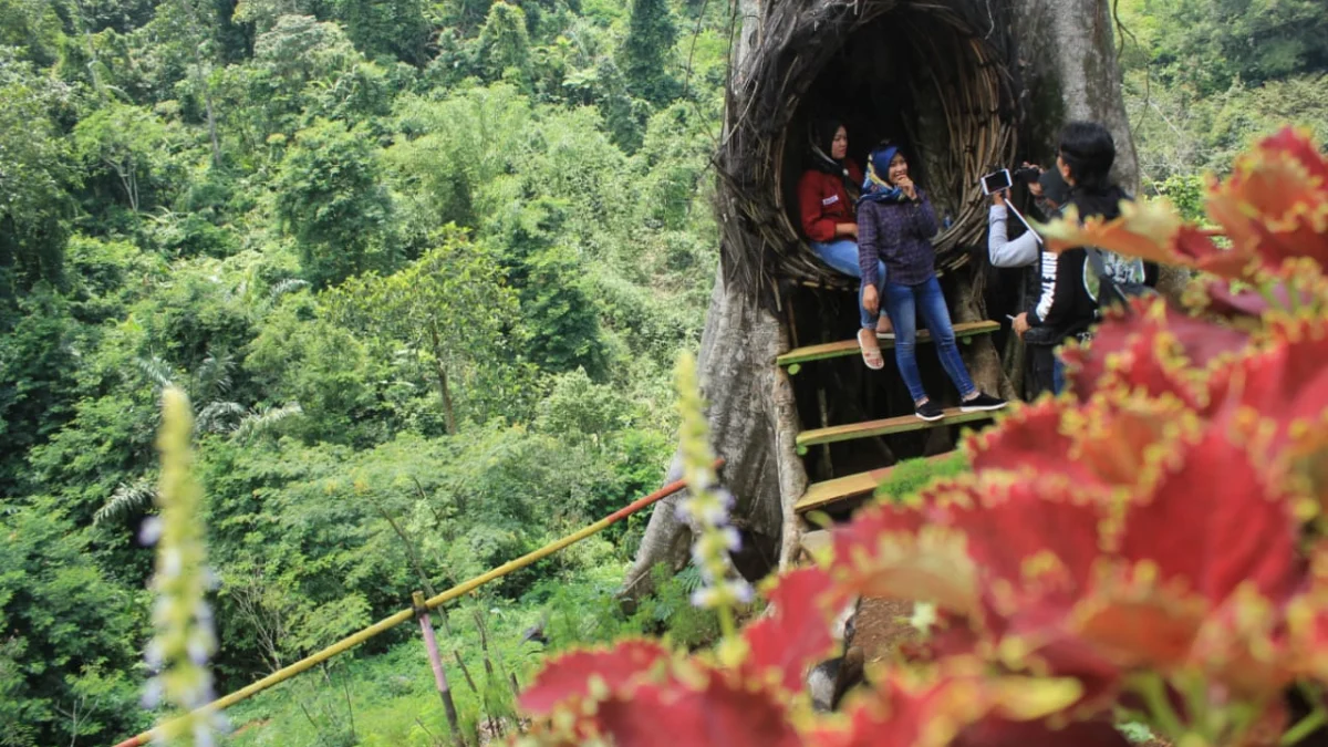 Wisata Agrowisata Peninggalan Zaman Belanda di Sumedang yang Jarang Diketahui Orang