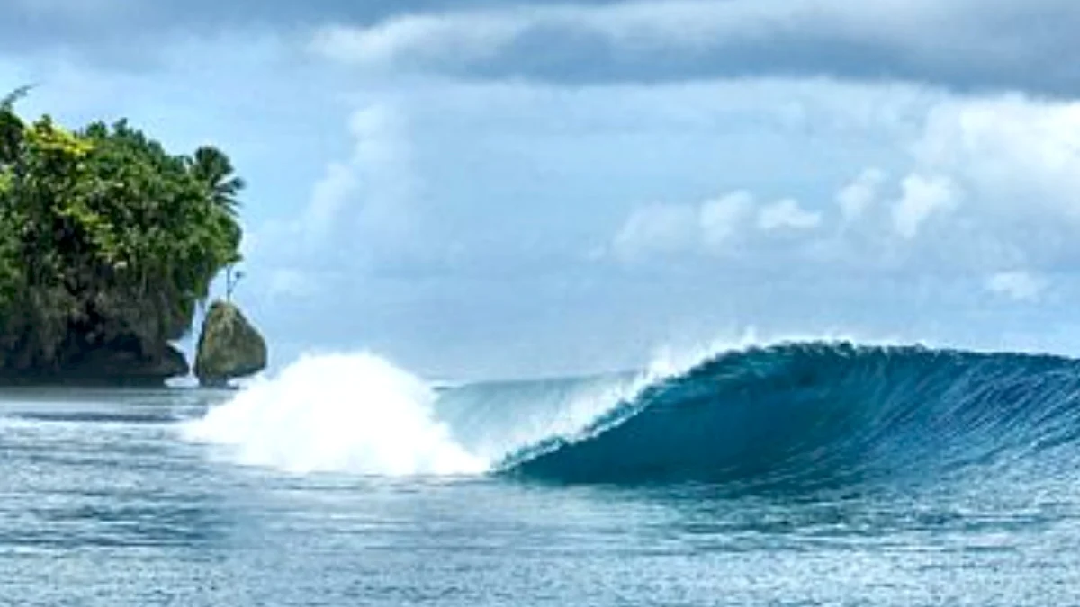 Apa itu Aplikasi Magicseaweed? Bisa Pantau Cuaca dan Ombak untuk Berselancar msw Pangandaran Apa itu Aplikasi Magicseaweed? Bisa Pantau Cuaca dan Ombak untuk Berselancar msw Pangandaran