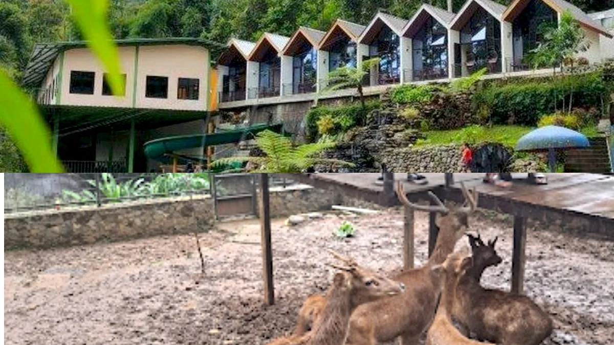 Penginapan Terdekat dan Spot Terbaik di Wisata Edukasi Kebun Binatang Sumedang, Kebun Binatang Pertama di Sumedang!