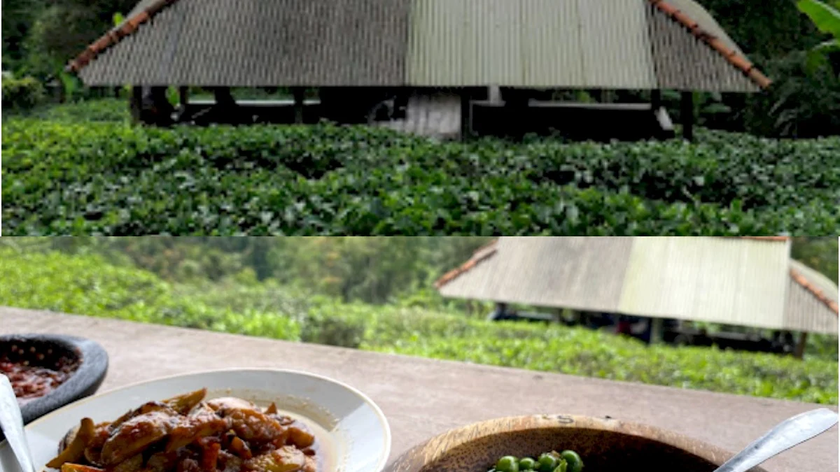 Unik Warung Salam di Tengah Hutan Wado Sumedang Omzet Puluhan Juta Selalu Ramai View Perjalanan dan Pemandangan Bintang 5 dari Wisatwan