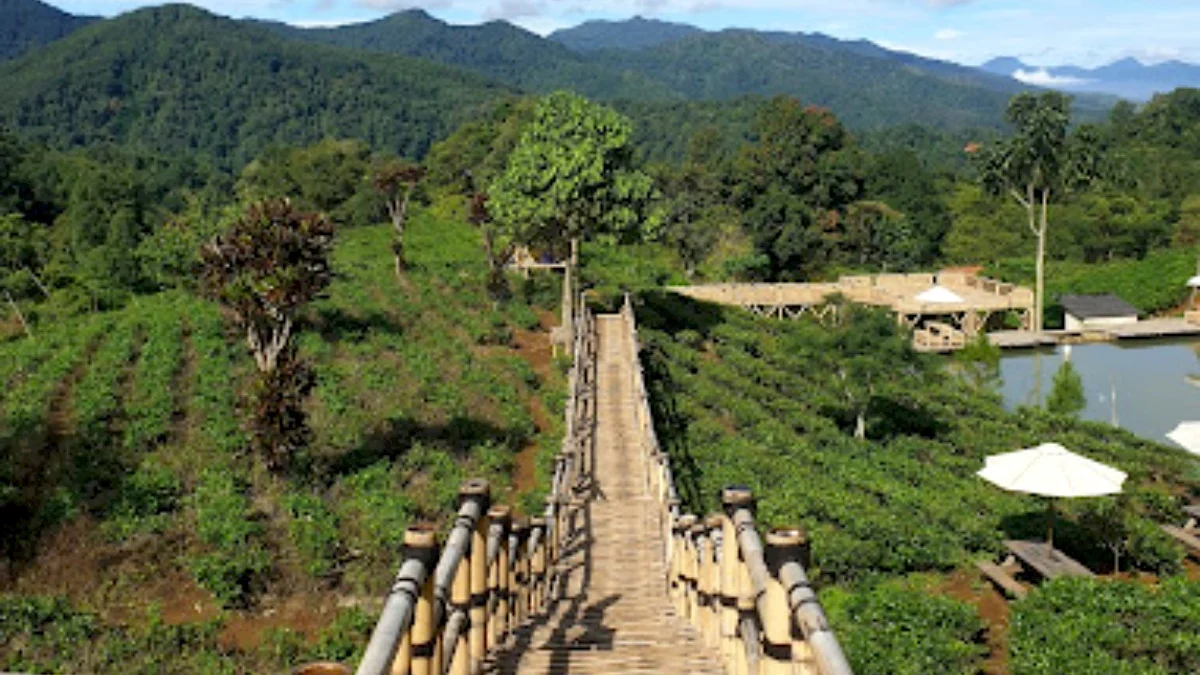 Keindahan Tersembunyi Wisata Alam Sumedang Pesona Alam yang Tenang Bak Ciwideynya Sumedang