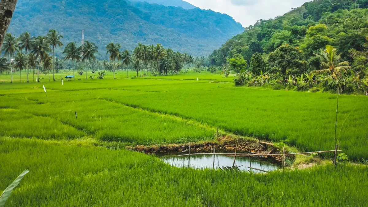 Unik Banget, Wisata Pemandian Air Panas di Sumedang ini Tersembunyi di Tengah Sawah