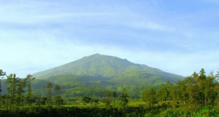 Flora dan Fauna Gunung Jagat Sumedang