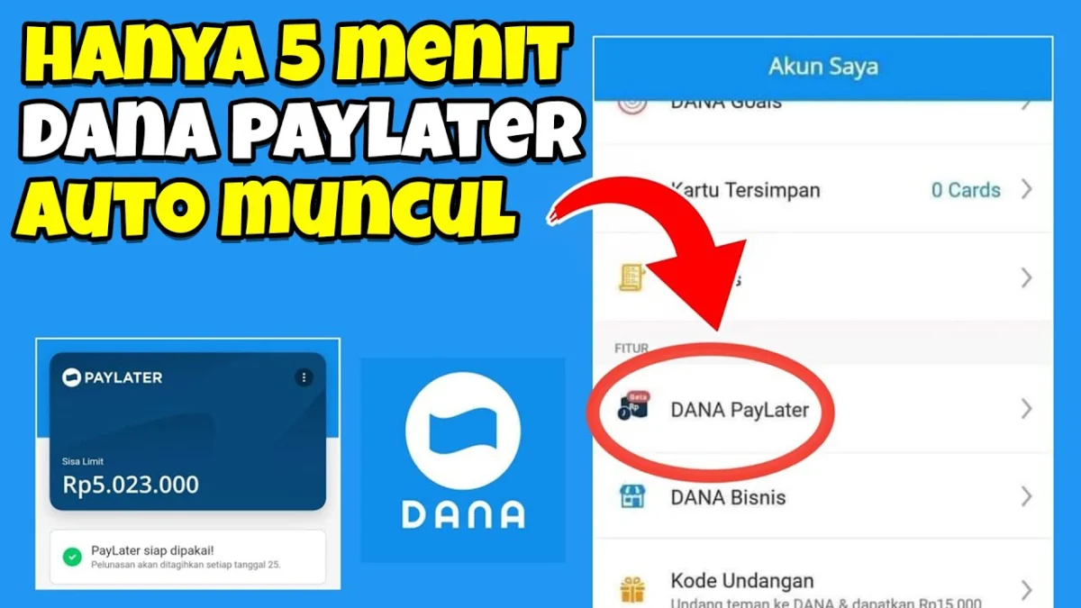 3 Penyebab Dana Paylater Tidak Muncul, Beginilah Cara Mengatasinya!