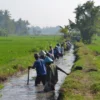 Berikut Contoh Kearifan lokal yang Dapat Dilakukan dalam Upaya Mengelola Sistem Irigasi Pertanian di Sumedang