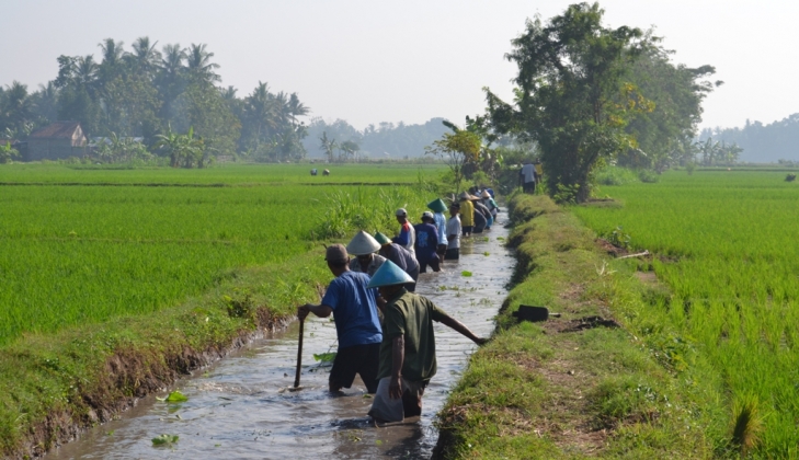 Berikut Contoh Kearifan lokal yang Dapat Dilakukan dalam Upaya Mengelola Sistem Irigasi Pertanian di Sumedang