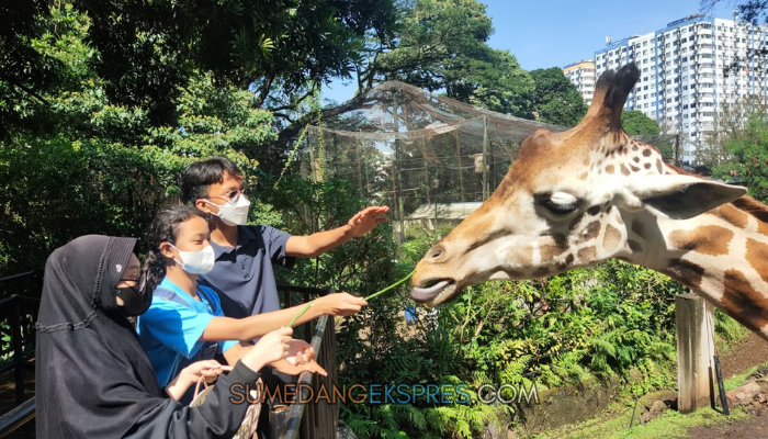 10 Wisata Edukasi di Sumedang, Kamu & Pasangan Bisa Kasih Makan Binatang Serta Nikmatin Alam Pegunungan Asri!