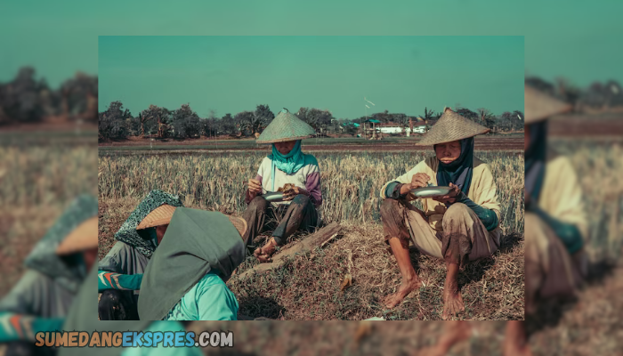 Pengertian Petani Milenial Sampai Kepanjangan Dari Petani, Inilah Petani Milenial Jawa Barat Yang Dapat Memitovasi Generasi Muda