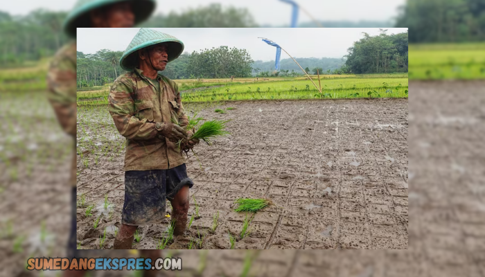 Potret Kehidupan Masyarakat di Daerah Pegunungan Tinggi Sumedang Yang Membuat Kamu Semakin Semangat Menjalani Hidup!