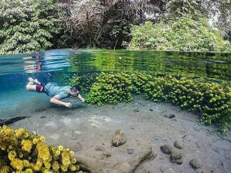 Keajaiban Sumber Mata Air Tersembunyi di Sumedang