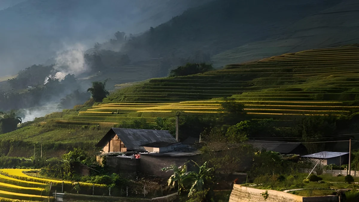 Keunikan Pemandangan dan Panorama Perbukitan serta Perkebunan di Sumedang: Pesona Alam yang Tak Terlupakan