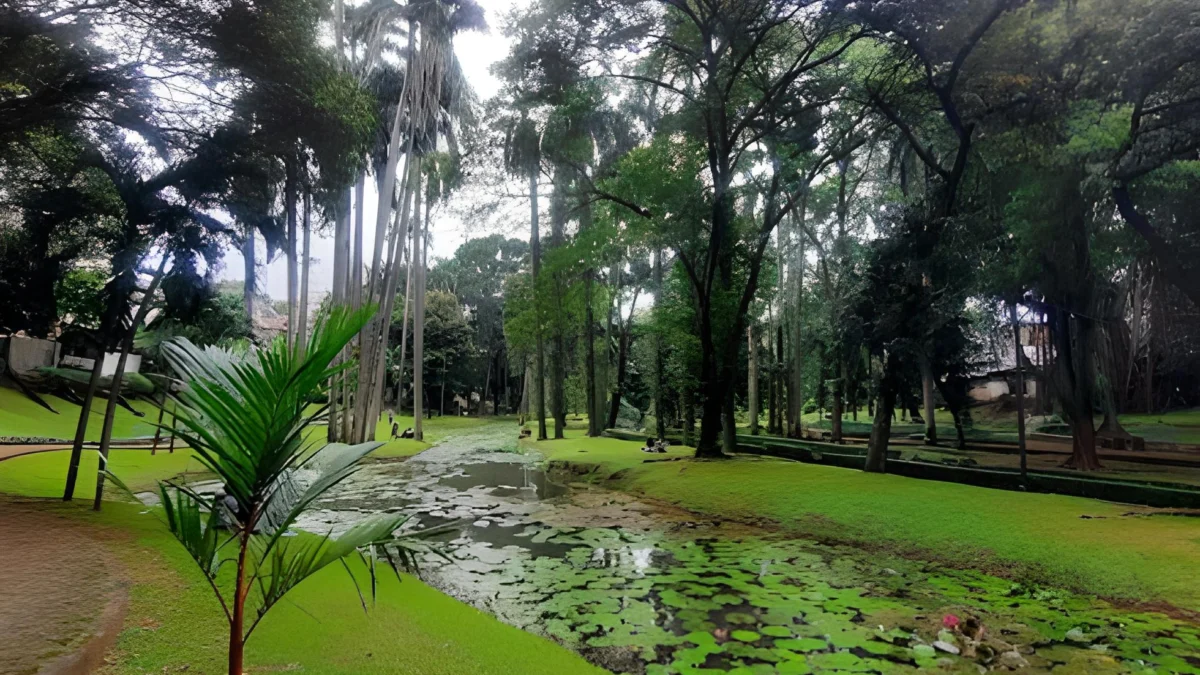 Healing Pengen Nyari Tempat Tenang Jawabanya ya Taman Langsat Wisata Alam Dekat Dengan Kota Depok