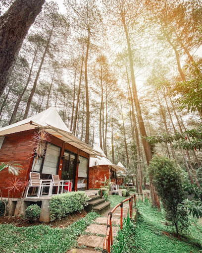 Tempat Healing Terbaik dengan Menikmati Keindahan Hutan Pinus Cikole Bandung! Sejuk Banget