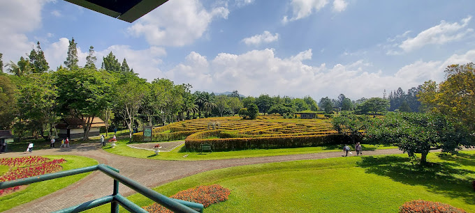 Yuk Mengenal Flora dan Fauna di Taman Bunga Nusantara