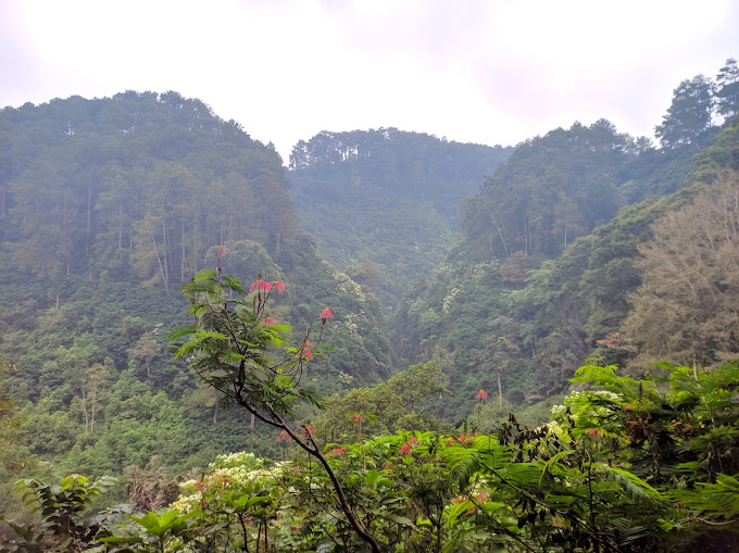 Keindahan taman hutan Ir. H. Djuanda