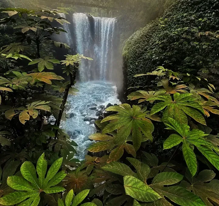 Berpetualang di Wisata Air Terjun Curug Omas Bandung