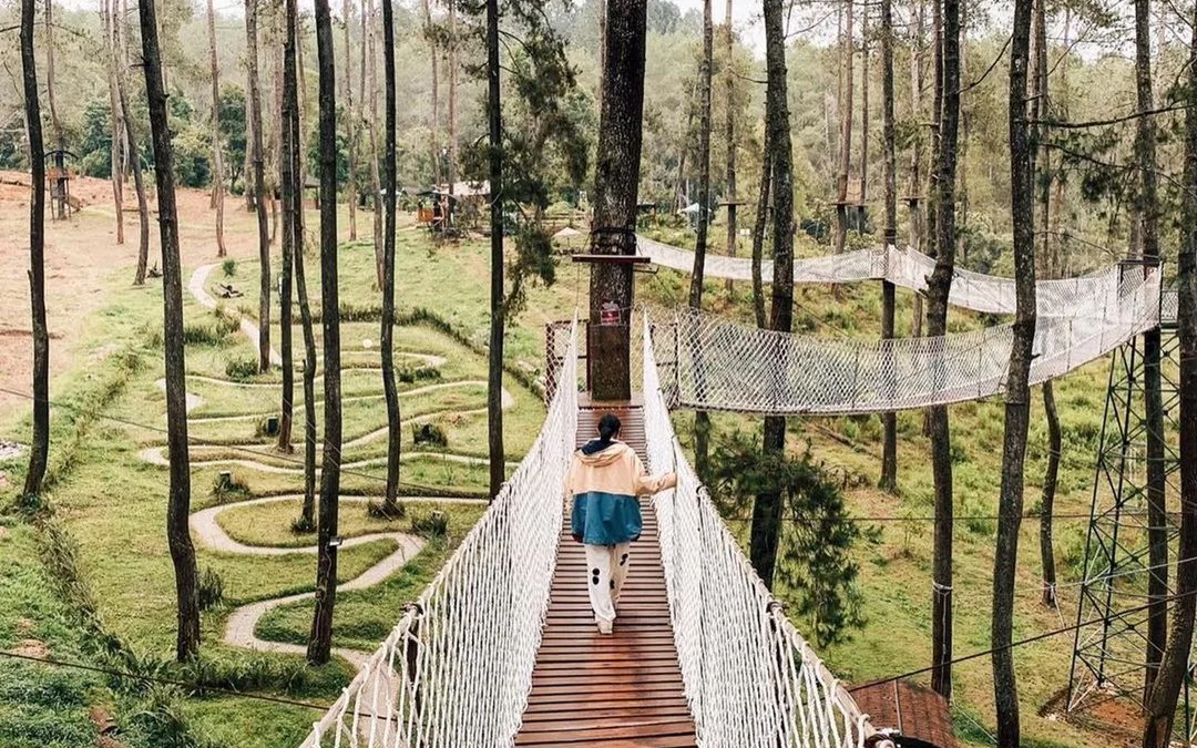 Buruan Nikmati Keindahan Hutan Pinus Cikole Bandung