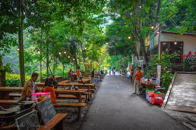 Mengapa namanya jadi nama hutan taman kota Bandung