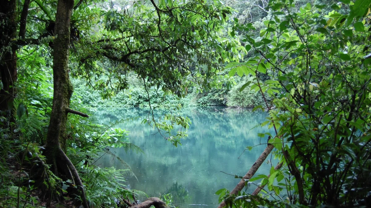 Kunjungi 7 Wisata Alam ini Saat Mendaki Gunung Gede Pangrango via Jalur Cibodas