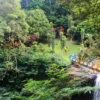 Berpetualang di Wisata Air Terjun Curug Omas Bandung