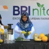 Kembangkan Urban Farming di Lahan Sempit, BRI Peduli Inspirasi Bertani di Kota (BRInita)