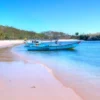 Pesona Pasir Pink Labuan Bajo, Pemandangan Luar Biasa Pulau Komodo