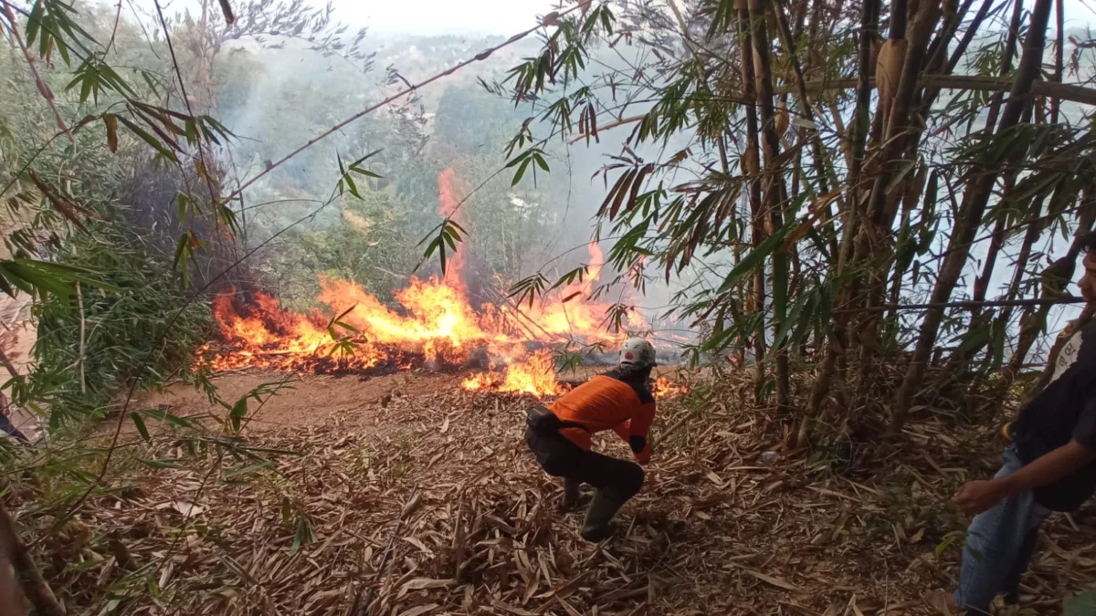 Kebakaran Melanda Lahan Gambut di Cigendel, Warga Khawatir Api Menjalar ke Permukiman