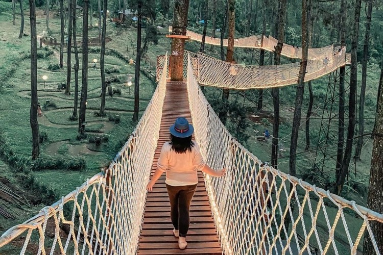 Ini Dimana? Cakep Banget! Buruan Nikmati Keindahan Hutan Pinus Cikole Bandung