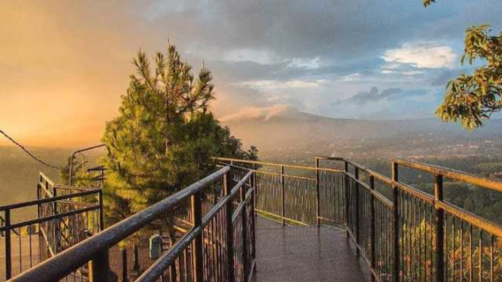 WAH Ternyata Seru Juga Ya Menyusuri Keindahan Taman Hutan Raya Ir. H. Djuanda