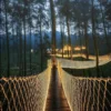 Wisata Alam Bandung dan Spot Foto Aesthetic Cocok untuk Pecinta Fotografi