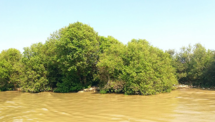 Pesona Pantai Cirebon Punya Kesamaan Dengan Pantai Pangandaran, Hanya 30 Menit Dari Sumedang Lho!