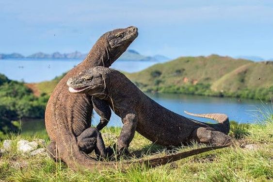 Misteri Pulau Indonesia: Jejak Sejarah Kelam di Tanah Air