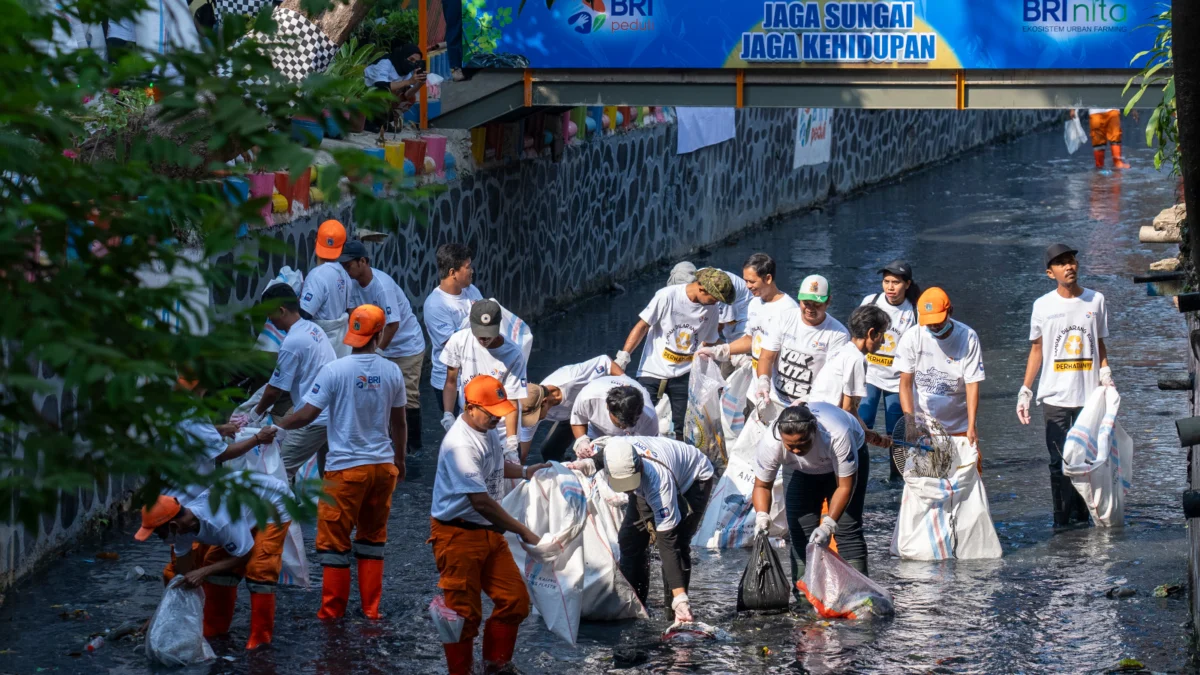 BRI Peduli Jadikan Kampung Bali Percontohan dalam Menjaga Ekosistem Lingkungan di Tengah Kota Jakarta