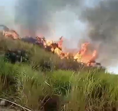 Musim Kemarau Panjang Akibatkan Hutan dan Lahan Kaki Gunung Tampomas Terbakar