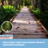 Wisata Baru Forest Walk Segera Dibuka di Kabupaten Sumedang