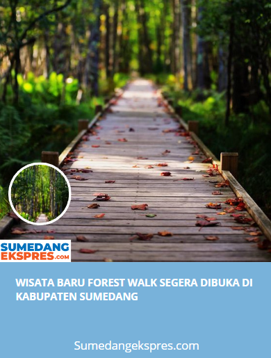 Wisata Baru Forest Walk Segera Dibuka di Kabupaten Sumedang