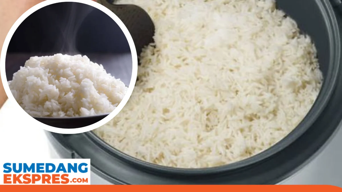 Akan Tiba Saatnya Buat Pengadaan 500.000 Rice Cooker Dari ESDM Transformasi Energi atau Gimmick Politik?