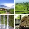 Ide Nama Paket Wisata Unik dan Memiliki Arti yang Baik