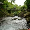 Wana Wisata Air Terjun Gitgit Waterfall Pulau Dewata Bali Jadi Incaran Wisatawan Karena Panorama Alamnya!