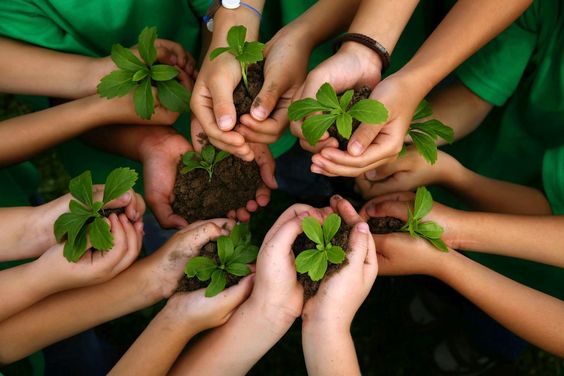 Manfaat Berkebun Untuk Menjaga Kesehatan Mental Remaja