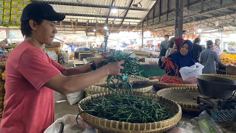 Pedagang di Tasik Keluhkan Omset Menurut Imbas Harga sayuran Naik