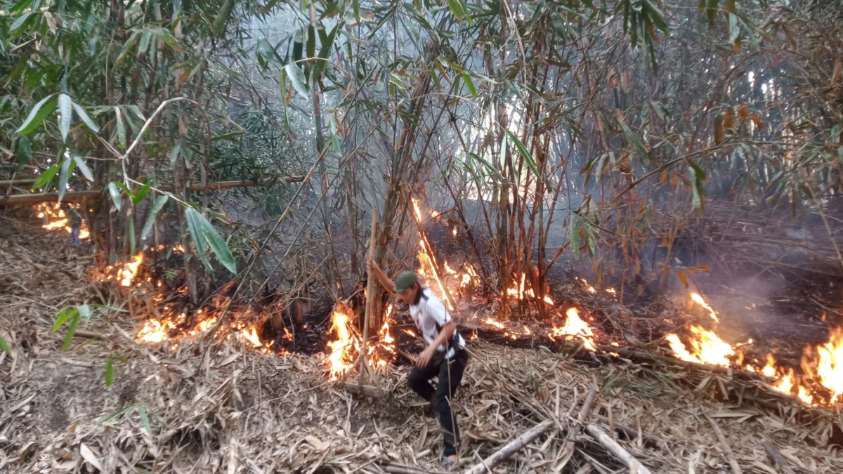 KEBAKARAN LAHAN: Petugas tengah memadamkan api di lahan dan hutan yang terjadi di Desa Cilayung Kecamatan Jatinangor, baru-baru ini.