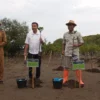 Pulihkan Lingkungan Pantai, Dishut Jabar Tanam Ribuan Pohon Mangrove.