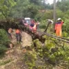 Kebersamaan BPBD dan Warga Gotong Royong Pascaditerjang Angin Kencang