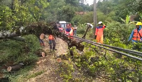 Kebersamaan BPBD dan Warga Gotong Royong Pascaditerjang Angin Kencang