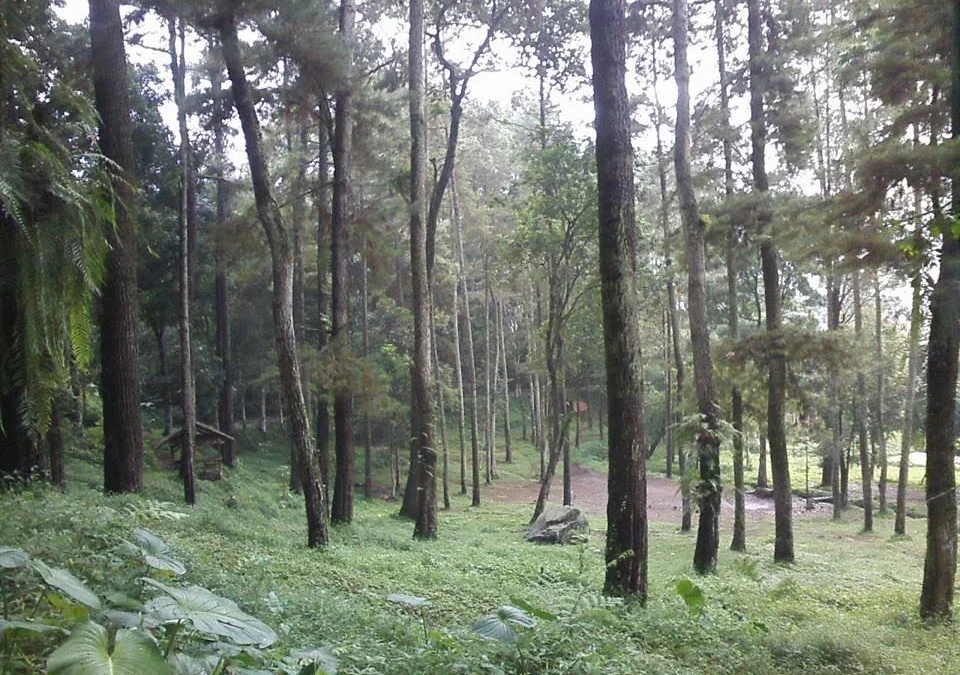 Cipadayungan Sumedang : Suasana Alam Tenang & Megah, Cocok Untuk Hati yang Sedang Patah